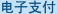 网上支付