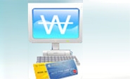 Online Payment